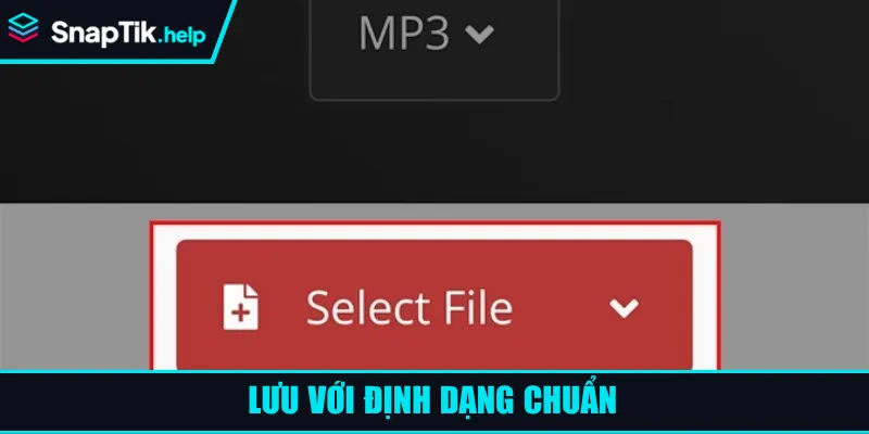 Lưu với định dạng chuẩn Lưu với định dạng chuẩn