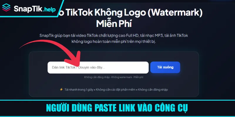 Người dùng paste link vào công cụ Người dùng paste link vào công cụ